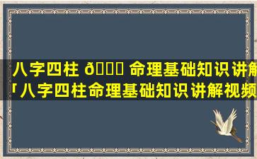 八字四柱 🐘 命理基础知识讲解「八字四柱命理基础知识讲解视频」